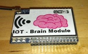 brain module